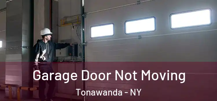  Garage Door Not Moving Tonawanda - NY