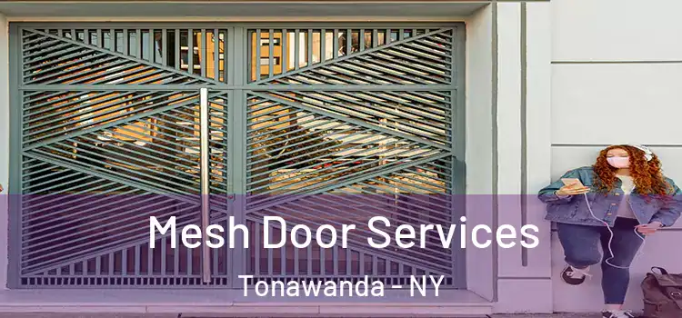  Mesh Door Services Tonawanda - NY